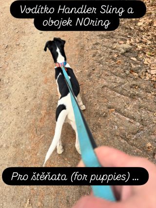 Lumac je pro všechny psy ♥️ Pět smyček na vodítku zajistí pohodlný úchop a kontrolu nad psem.
